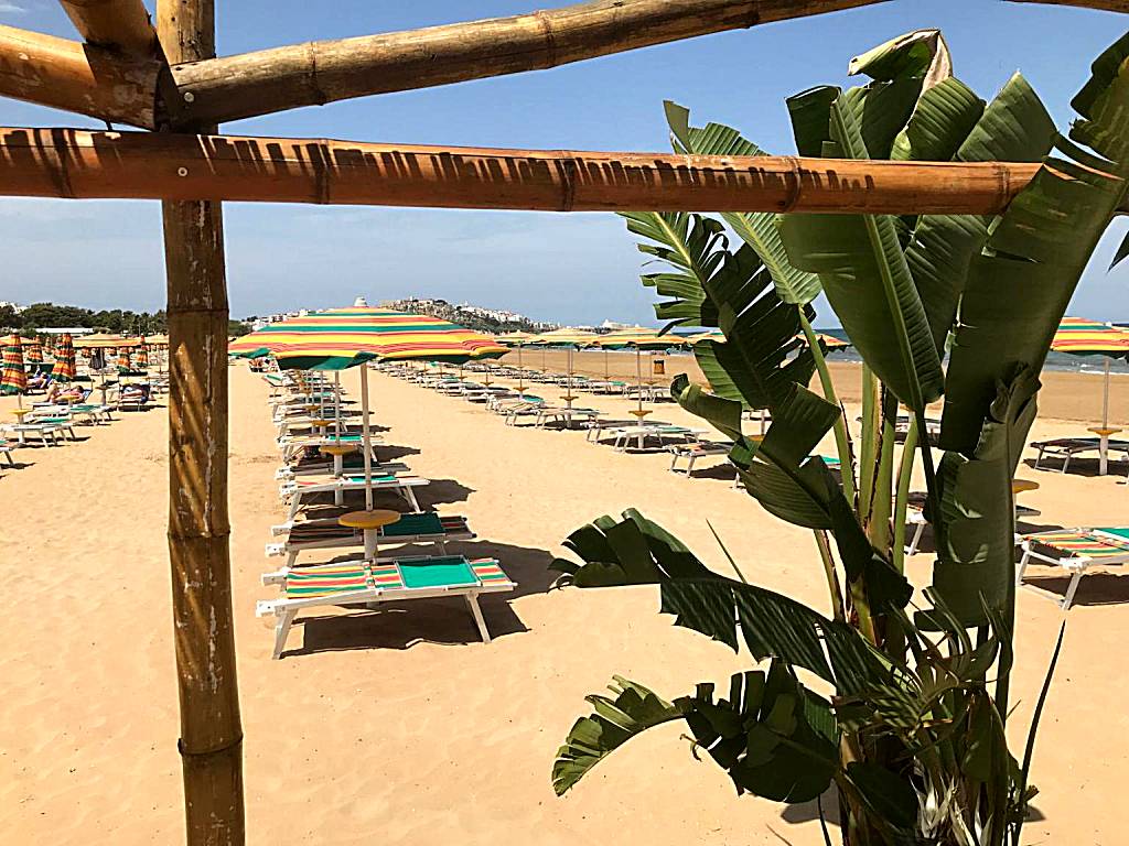 Oasi Beach Hotel (Vieste) 